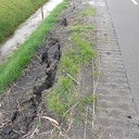 Wal valt in de sloot Wal valt in de sloot