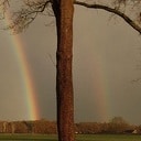 Twee potten met goud??….. Twee potten met goud??…..