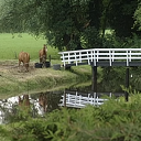 Luuks Nijsingh Reestenland