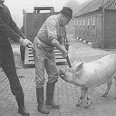 Tweede generatie vertelt:   1940-1945