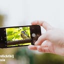 Doe mee met de #natuurdichtbij fotochallenge Doe mee met de #natuurdichtbij fotochallenge