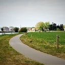 Ingezonden foto’s