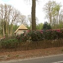 Mooie rododendrons en een mooi huis Mooie rododendrons en een mooi huis