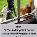 Hou vol Hou vol