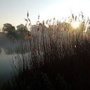 Ochtendgloren in de Bellingeweer