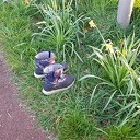 Kinderlaarsjes kwijt? Kinderlaarsjes kwijt?