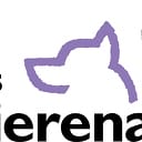 Procedure gevonden dieren Procedure gevonden dieren