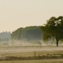 Bevrijdingsdag: de nevel trekt weg Bevrijdingsdag: de nevel trekt weg