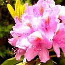 Natuur Natuur