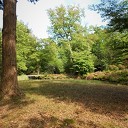 Even een paar foto’s van het mooiste stukje bos van Dalfsen Even een paar foto’s van het mooiste stukje bos van Dalfsen
