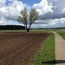 Wandelen met een vraag; coaching in de natuur! Wandelen met een vraag; coaching in de natuur!