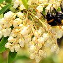 De tuin als inspiratiebron De tuin als inspiratiebron