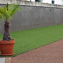 Gras is altijd “groen”