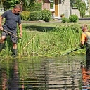 Riet snoeien Riet snoeien