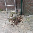 KNMI: Al vanaf 13.00 uur code geel