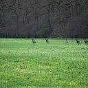 Stroom van kritiek zonnepark Hoevenweg Stroom van kritiek zonnepark Hoevenweg
