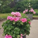 Tuin hospice weer pico bello