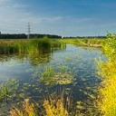 Regen geeft tijdelijke verlichting