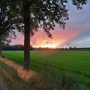 Gevecht en koppie onder? Gevecht en koppie onder?