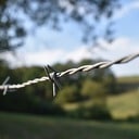Feitelijk verhaal, geschreven door een boer uit Haaksbergen Feitelijk verhaal, geschreven door een boer uit Haaksbergen