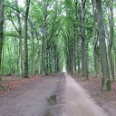 De schoonheid van het landgoed Den Berg De schoonheid van het landgoed Den Berg