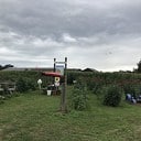 Gratis dolen in het maïsdoolhof op 26 augustus Gratis dolen in het maïsdoolhof op 26 augustus