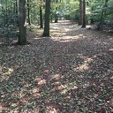 Het lijkt wel herfst…. Het lijkt wel herfst….