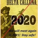 Delta Calluna cigar box festival