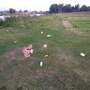 Sporen van zwijnen ontdekt op Bellingeweer