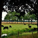 Stuw Vechterweerd