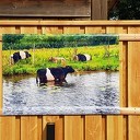 Dalfsen in de tuin