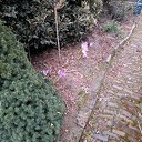 Herfst kump dran Herfst kump dran