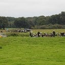Heen en weer Excelsior & Ons Genoegen (video) Heen en weer Excelsior & Ons Genoegen (video)