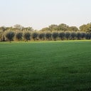 Een zonnige zondagmorgen in de natuur Een zonnige zondagmorgen in de natuur