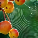 Herfst Herfst