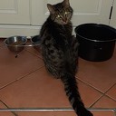 Zoë, waar zit je?? Zoë, waar zit je??