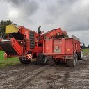 Uienoogst verloopt voorspoedig Uienoogst verloopt voorspoedig