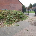 Mannen met groene vingers Mannen met groene vingers