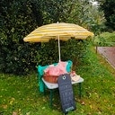 Ze zijn er weer, de lekkere stoofpeertjes Ze zijn er weer, de lekkere stoofpeertjes