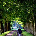 Fotograaf Ben Jonkman ging op pad Fotograaf Ben Jonkman ging op pad