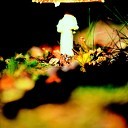 Nog meer paddenstoelen Nog meer paddenstoelen