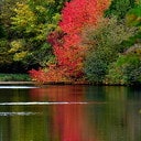 Herfstkleuren Engelse Werk Herfstkleuren Engelse Werk