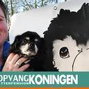 Dagbesteding bij Dierenopvang Koningen Dagbesteding bij Dierenopvang Koningen