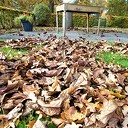 Tuin niet meer winterklaar maken Tuin niet meer winterklaar maken