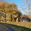 Herfst en zon, een prachtige combinatie Herfst en zon, een prachtige combinatie