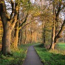 Mooi fietsrondje voor de zondagmorgen Mooi fietsrondje voor de zondagmorgen