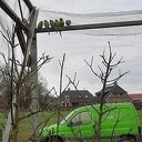 Gruune Parkiet