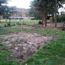 Ze doen alles om het aanzien te verbeteren Ze doen alles om het aanzien te verbeteren