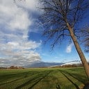 Kijk af en toe omhoog Kijk af en toe omhoog