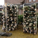 Kerstbomenverkoop SVD 2020 Kerstbomenverkoop SVD 2020